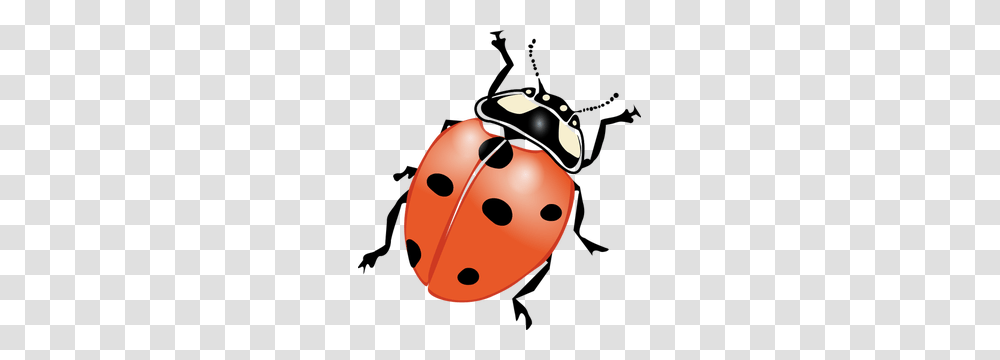 Clip Art Cricket Insect, Dice, Game, Plant, Photography Transparent Png