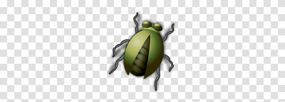 Clip Art Cricket Insect, Invertebrate, Animal, Dung Beetle, Firefly Transparent Png