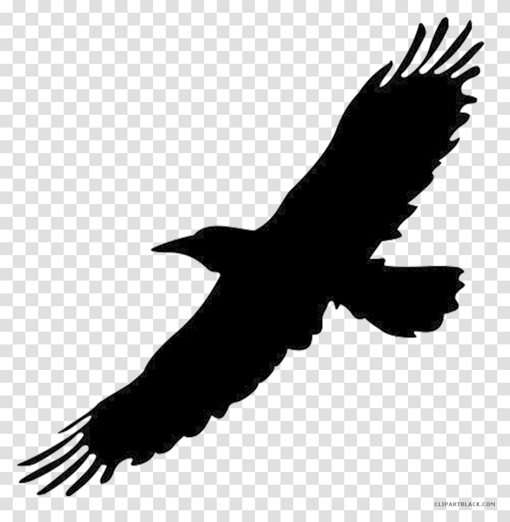 Clip Art Crow Bird Image Portable Network Graphics Flying Black Bird, Animal, Silhouette, Eagle, Vulture Transparent Png