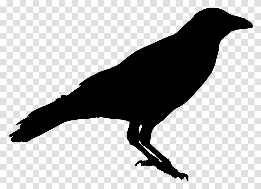 Clip Art Crow Silhouette Black Crow Silhouette, Gray, World Of Warcraft Transparent Png