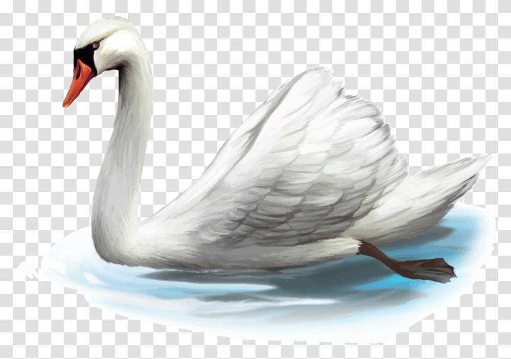 Clip Art Cygnini Illustration Transprent, Bird, Animal, Swan, Waterfowl Transparent Png