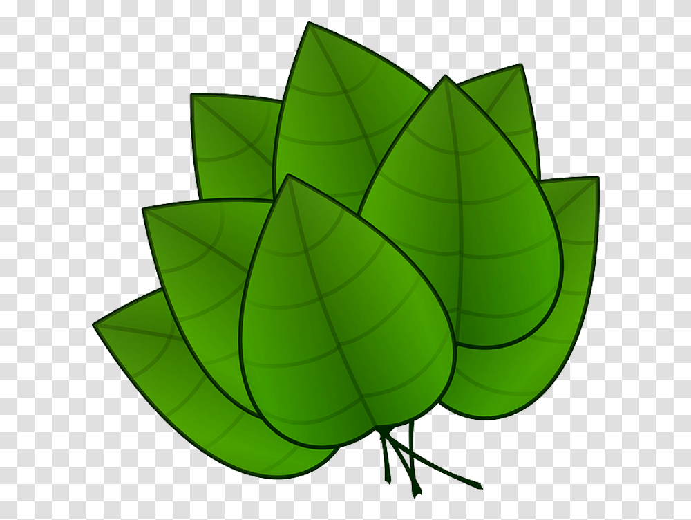 Clip Art Da Maconha Em Quero Parts Of Plants Leaves, Leaf, Green, Lamp, Pattern Transparent Png