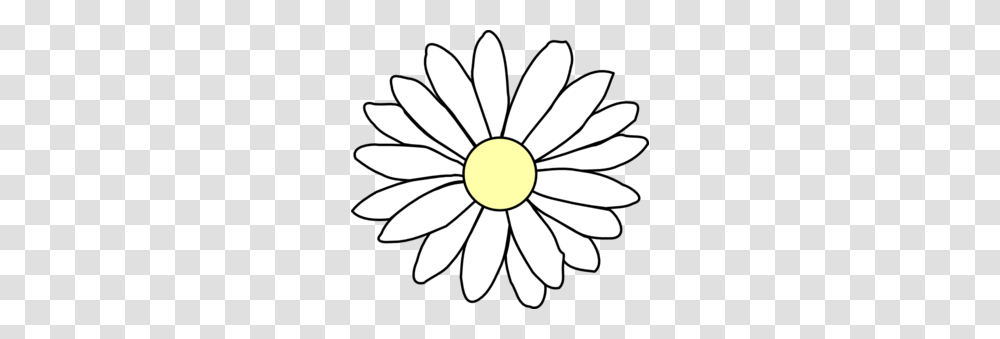 Clip Art Daisy Clipart Black And White Lskzwjk, Plant, Flower, Daisies, Blossom Transparent Png