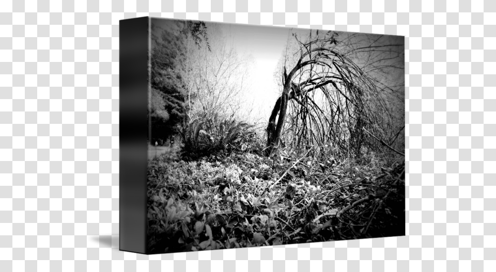 Clip Art Dark Photography Tumblr Monochrome, Nature, Plant, Ground, Outdoors Transparent Png