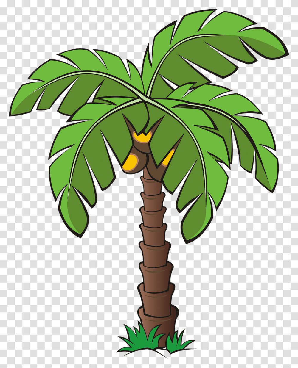 Clip Art Date Palm Tree Clip Art Palm Tree Clipart, Plant, Leaf, Arecaceae, Green Transparent Png