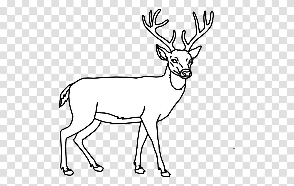 Clip Art Deer Clipart Black And White Deer Target With Vitals, Wildlife, Animal, Mammal, Antelope Transparent Png