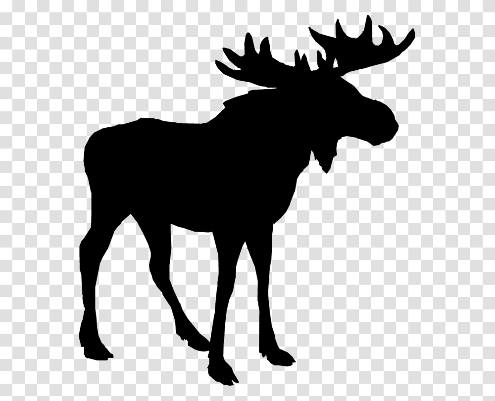 Clip Art Deer Silhouette Alaska Moose Image Moose Silhouette Free, Gray Transparent Png