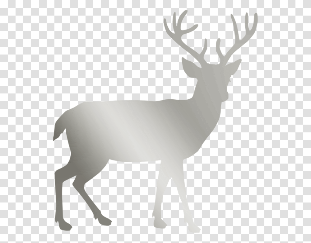 Clip Art Deer, Wildlife, Mammal, Animal, Elk Transparent Png