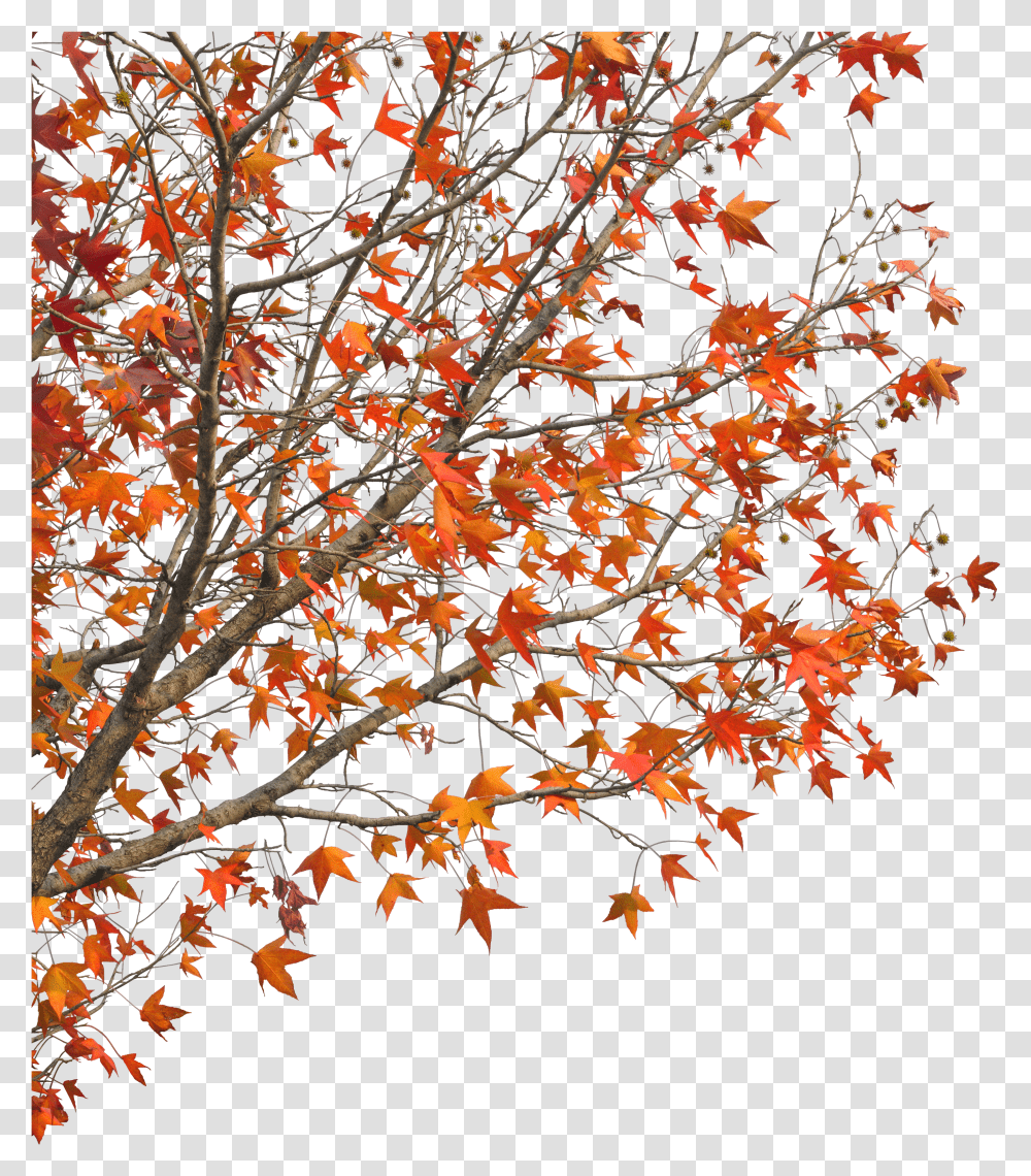 Clip Art Demaotang Maple Hotel Red Autumn Tree Autumn Branches Transparent Png