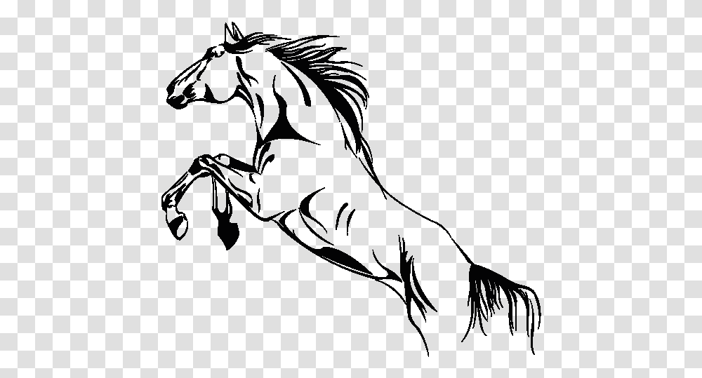 Clip Art Desenho Cavalo Horse, Person, People, Photography, Face Transparent Png