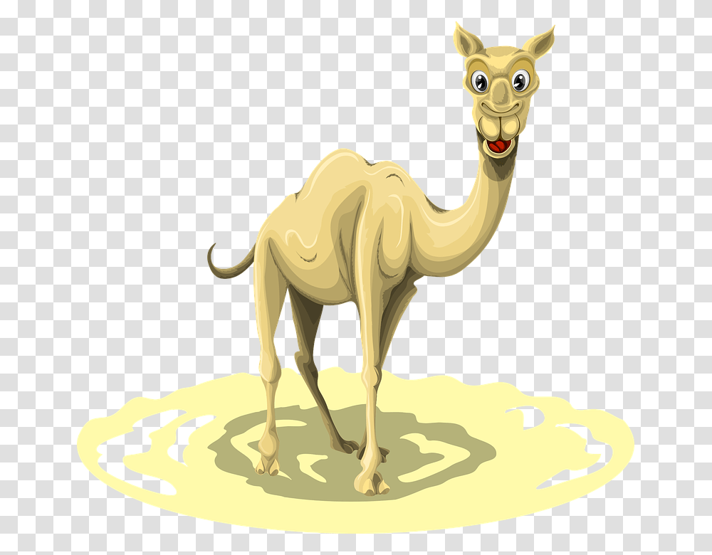 Clip Art Did You Know Interesting Camel, Mammal, Animal, Antelope, Wildlife Transparent Png