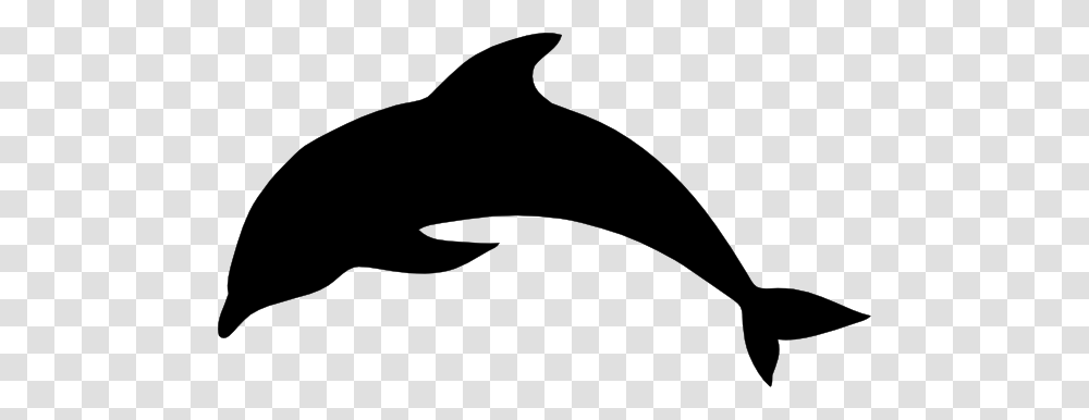 Clip Art Dolphins Free Image Information, Sea Life, Animal, Mammal, Hammer Transparent Png