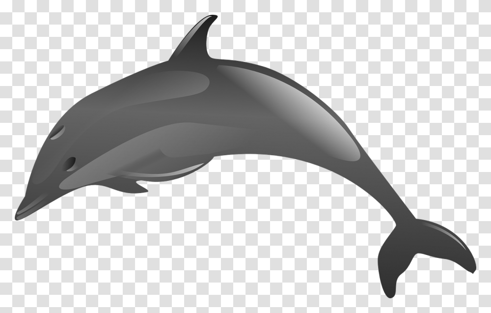 Clip Art Dolphins Jumping Clipart Animales Acuaticos En, Sea Life, Mammal, Scissors, Blade Transparent Png