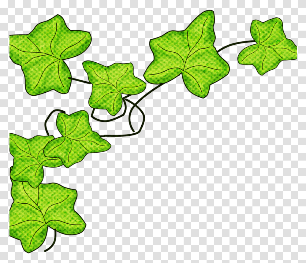 Clip Art Download Full Size Clipart 4464787 Lovely, Leaf, Plant, Veins, Painting Transparent Png