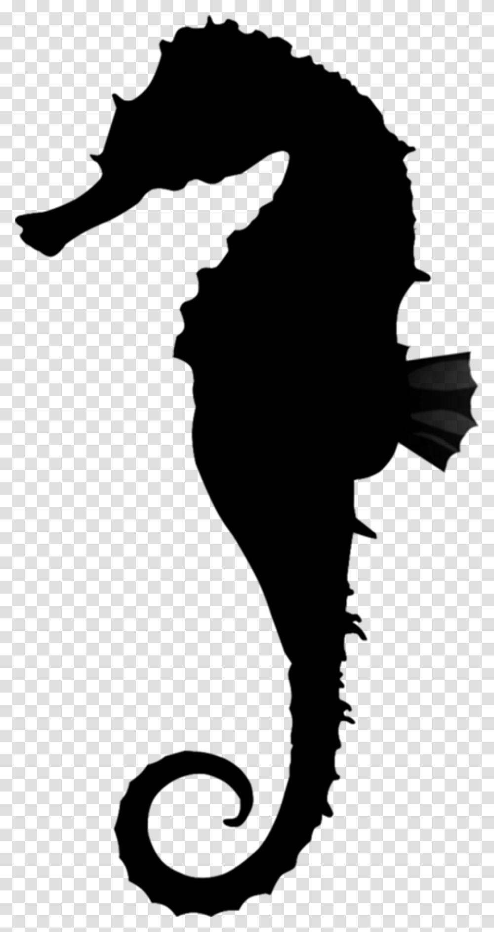 Clip Art Download Seahorse, Gray, World Of Warcraft Transparent Png