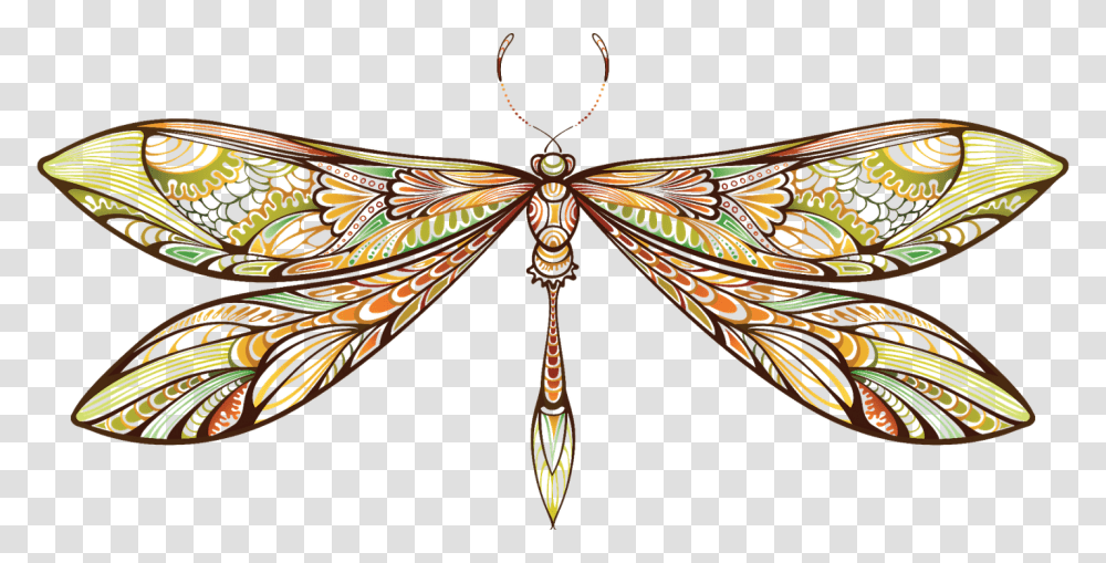 Clip Art Dragon Fly, Insect, Invertebrate, Animal, Dragonfly Transparent Png