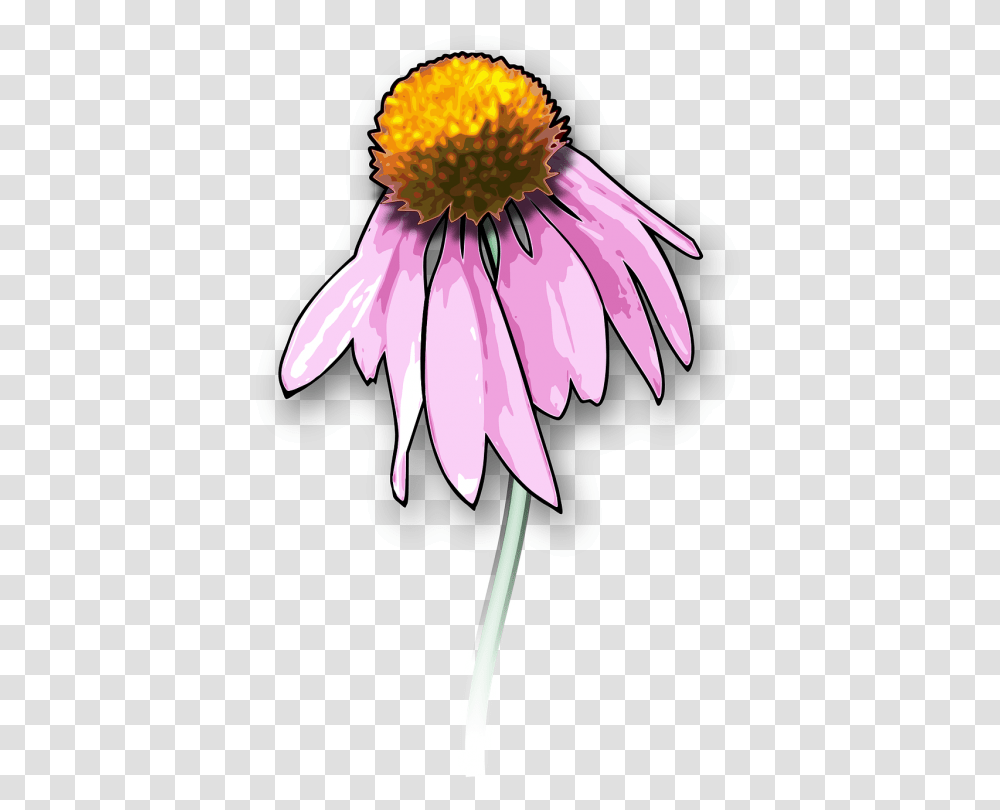 Clip Art Drawing Death Openclipart Graphics, Plant, Daisy, Flower, Daisies Transparent Png