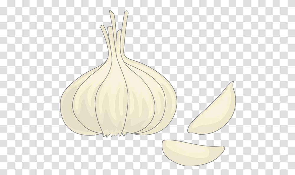 Clip Art Drawing Onion Material Transprent Garlic, Plant, Vegetable, Food, Lamp Transparent Png