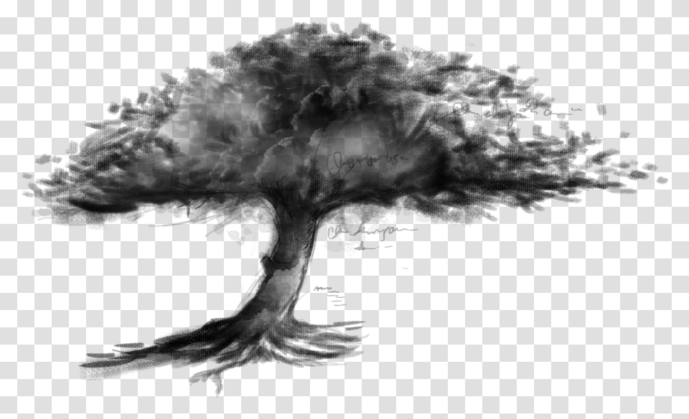 Clip Art Drawing Sketch Transprent Tree Sketch Hd, Nature, Outdoors, Night, Outer Space Transparent Png