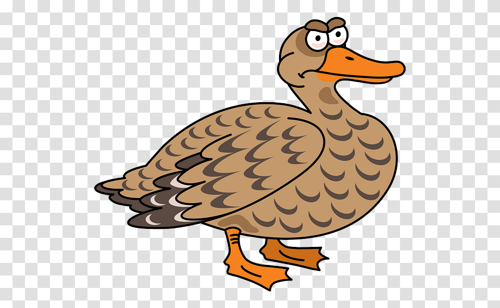Clip Art, Duck, Bird, Animal, Dodo Transparent Png