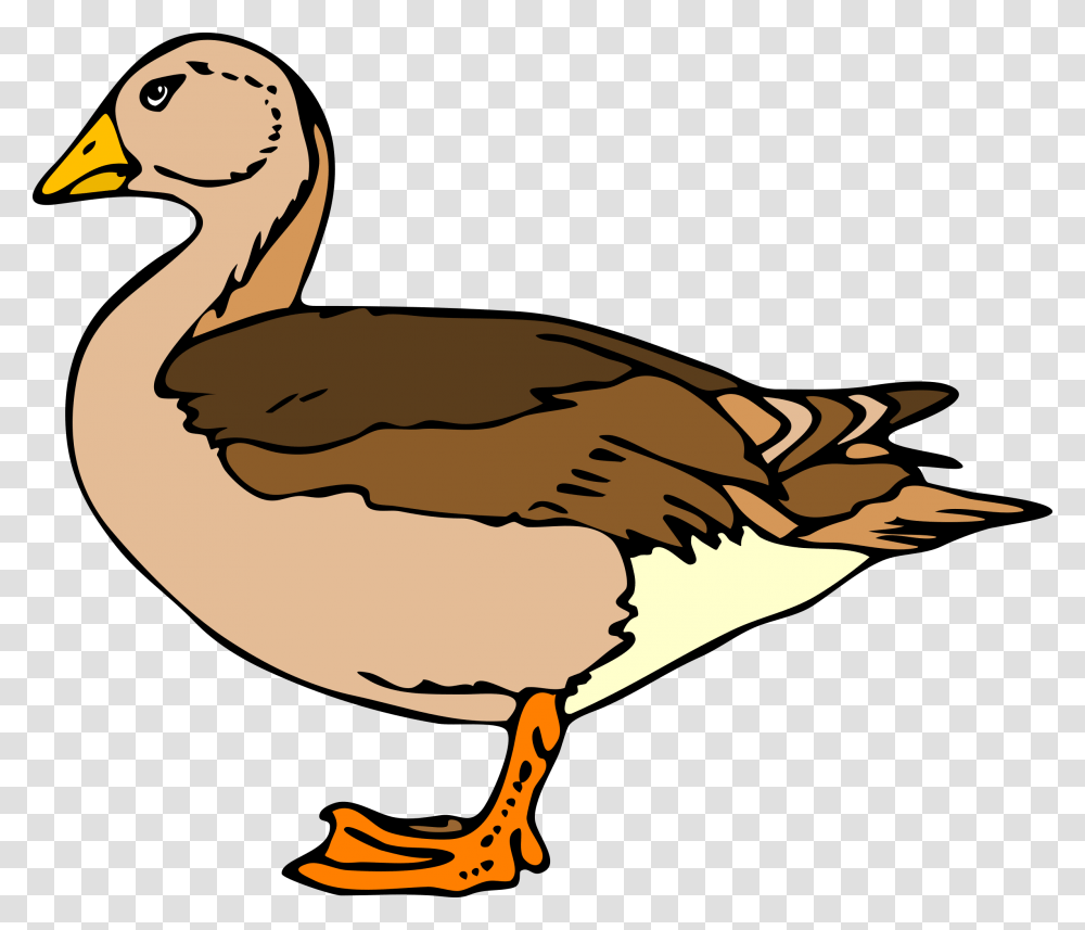 Clip Art Duck, Bird, Animal, Goose, Waterfowl Transparent Png