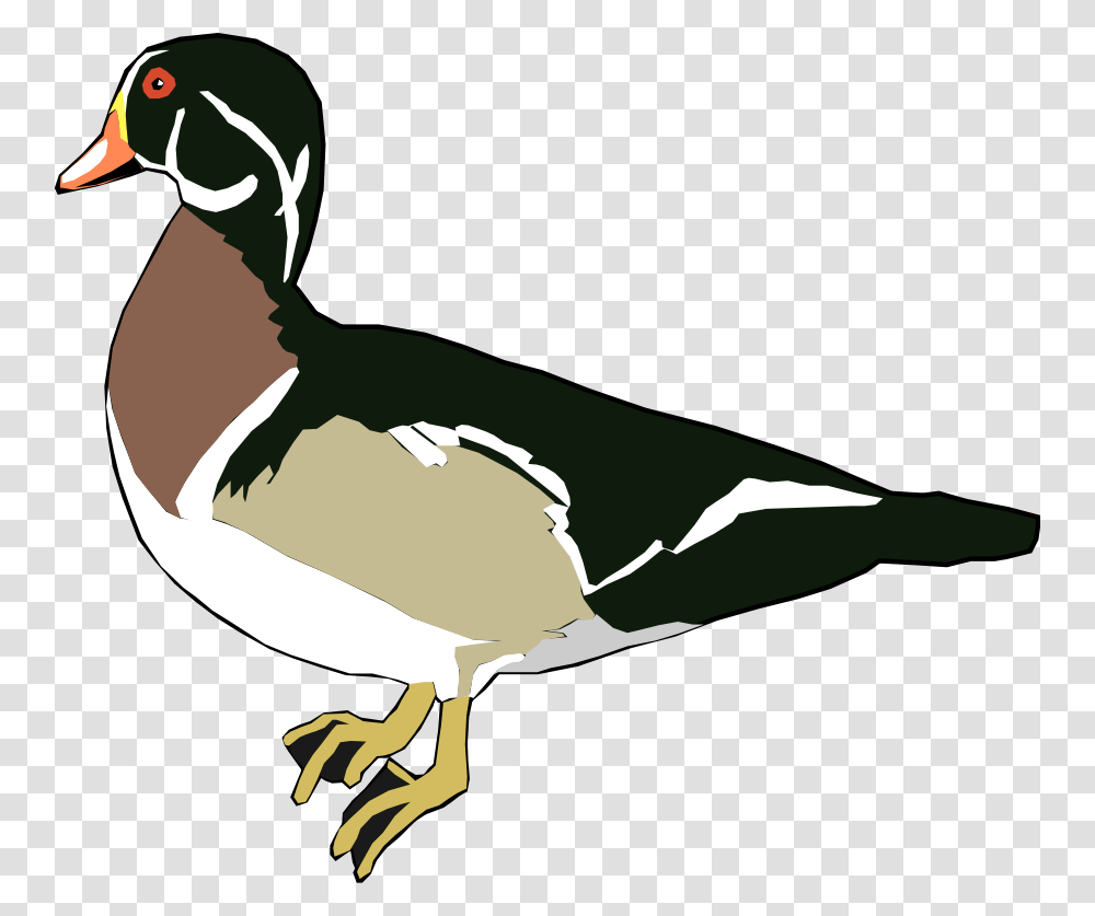 Clip Art Duck, Bird, Animal, Goose, Waterfowl Transparent Png