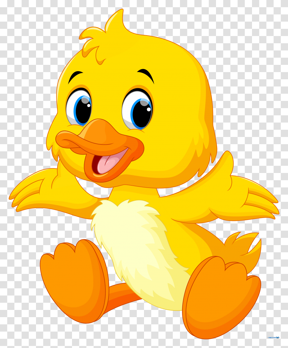 Clip Art Ducks, Bird, Animal, Poultry, Fowl Transparent Png