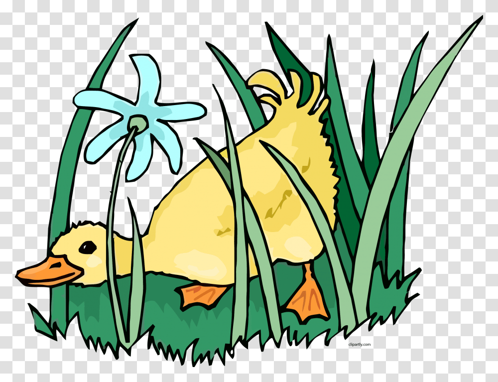 Clip Art Ducks Grass Clipart Pato Animado Comiendo Maiz, Plant, Produce, Food, Leaf Transparent Png