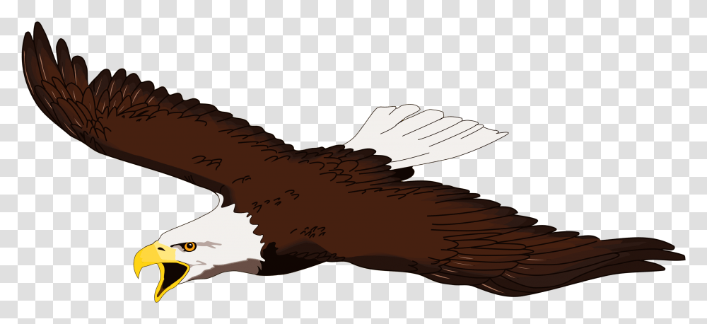 Clip Art Eagle Clip Art Flying Clipart Bald Eagle, Bird, Animal, Waterfowl, Goose Transparent Png