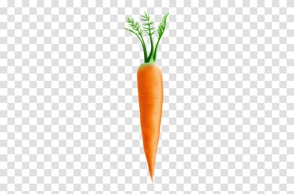 Clip Art Easter Clip Art Art, Plant, Carrot, Vegetable, Food Transparent Png
