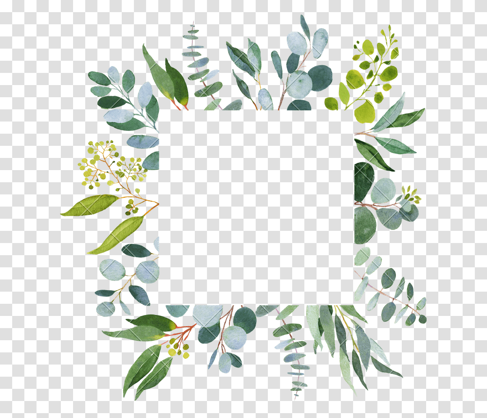 Clip Art Eucalyptus Greenery Greenerys Templates, Plant, Leaf, Flower, Vegetation Transparent Png