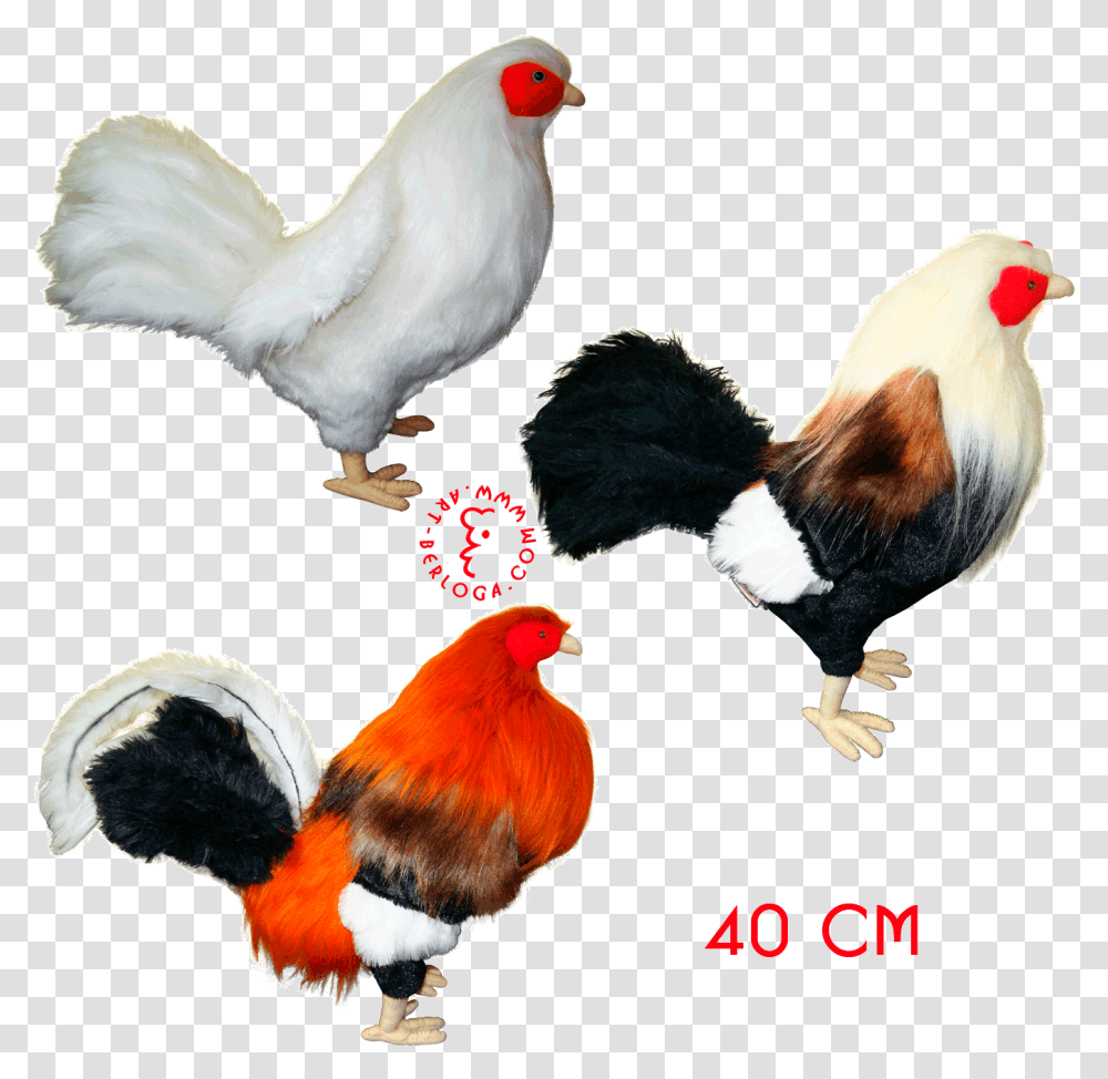 Clip Art Exclusive Tailoring Of Roosters Rooster Fighting Toys, Poultry, Fowl, Bird, Animal Transparent Png
