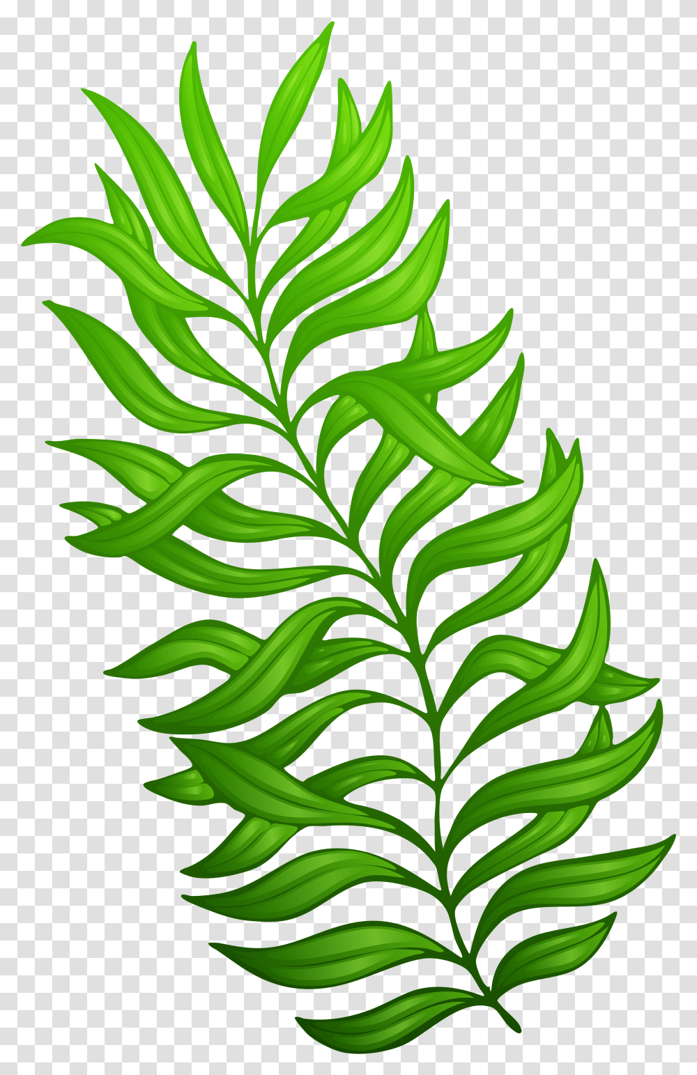 Clip Art Exotic Green Plant Plant Clip Art, Pineapple, Fruit, Food, Leaf Transparent Png
