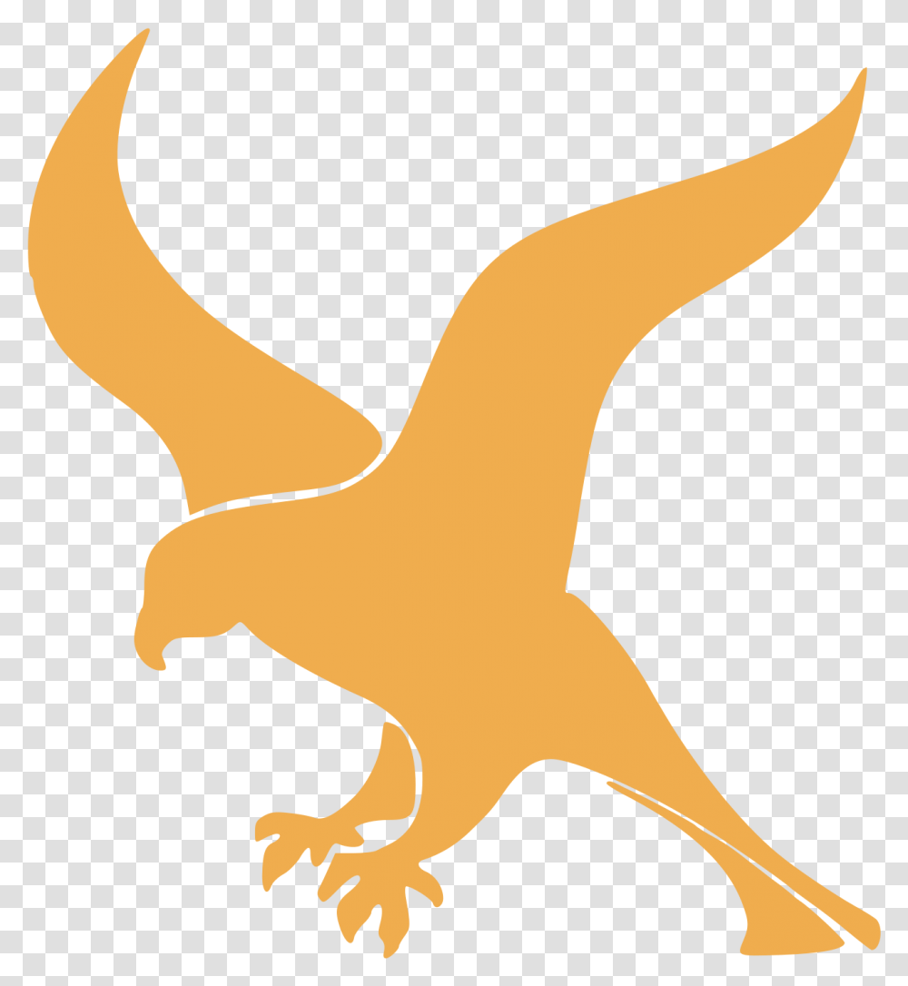 Clip Art Falcon Images Falcon Python, Animal, Eagle, Bird, Mammal Transparent Png