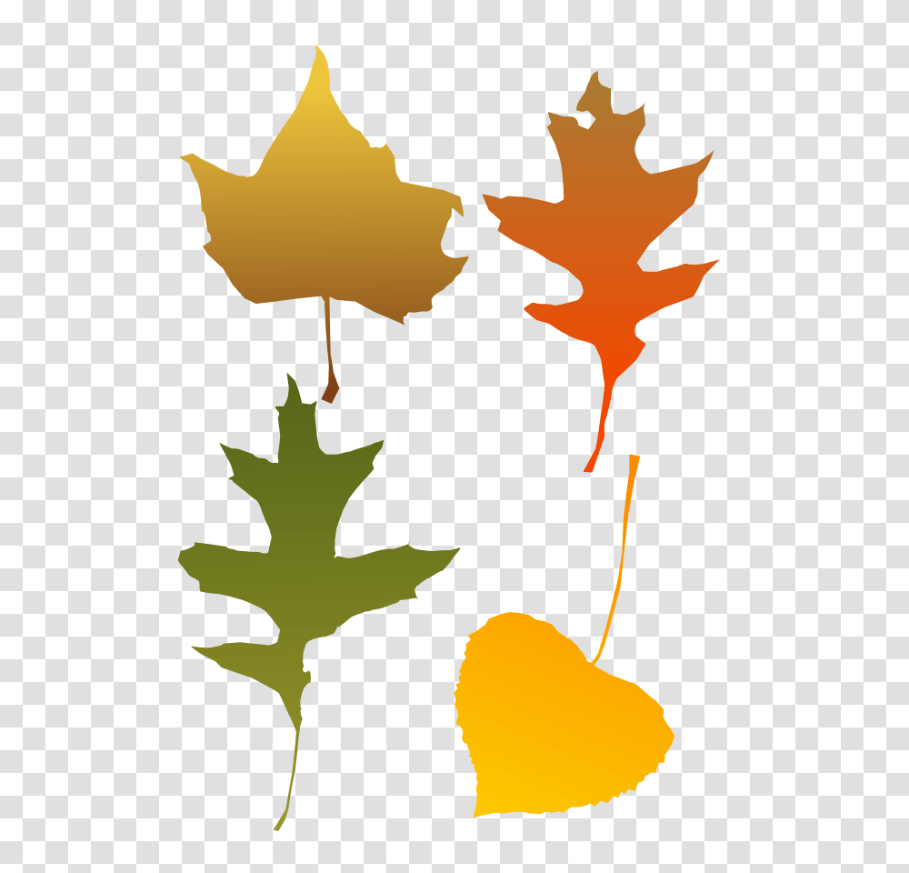 Clip Art Fall Leaf, Plant, Tree, Maple Leaf, Person Transparent Png
