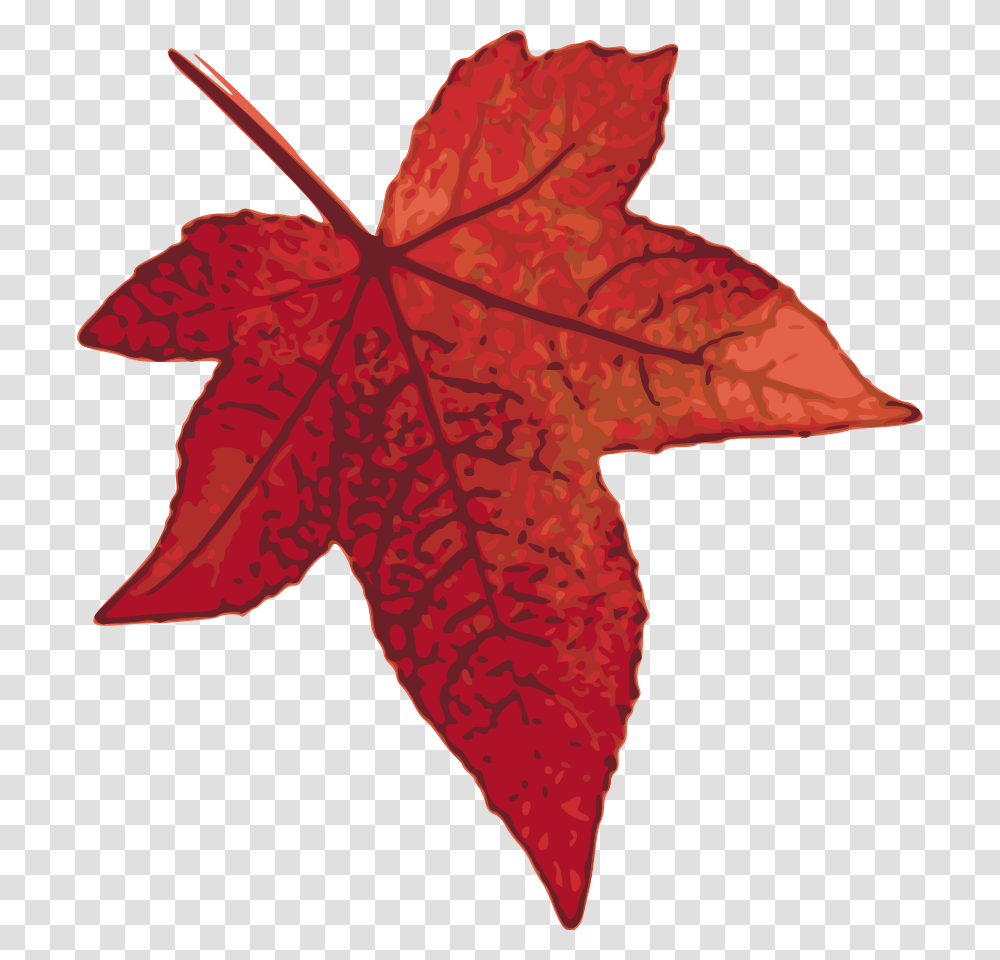 Clip Art Fall Leaf, Plant, Tree, Maple, Maple Leaf Transparent Png