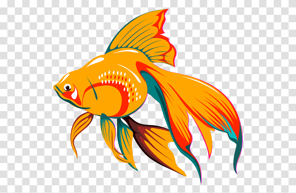 Clip Art Fish Graphic, Goldfish, Animal, Bird Transparent Png