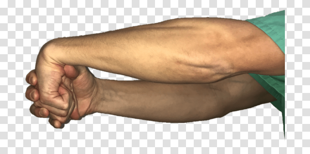 Clip Art Fist In Palm Human, Arm, Hand, Wrist, Person Transparent Png