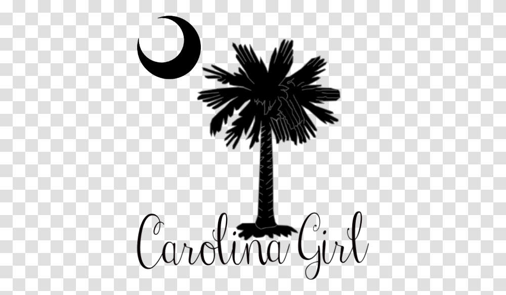 Clip Art Flag With Palm Tree And Moon South Carolina Palmetto Tree, Plant, Arecaceae, Silhouette Transparent Png