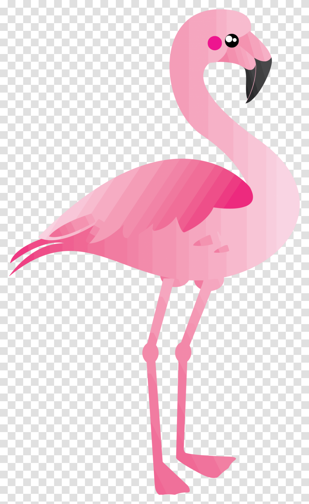 Clip Art Flamingo Clipart, Bird, Animal Transparent Png