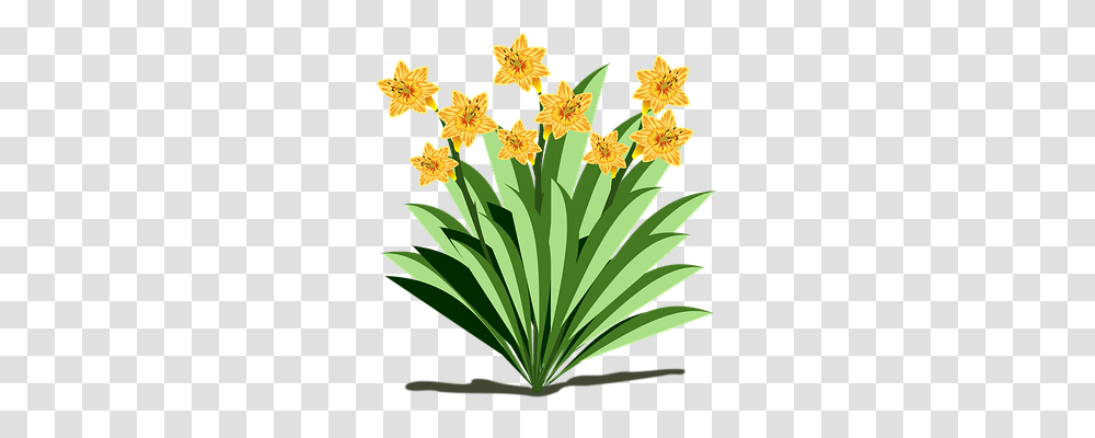 Clip Art Flor Flora Flower V E C T O R S Vector, Plant, Blossom, Daffodil Transparent Png
