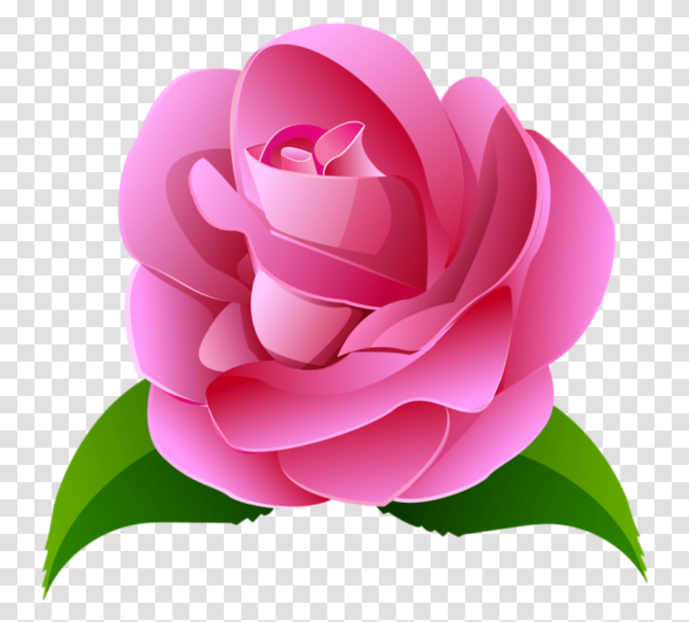 Clip Art Flores Cor De Imagens Flores Cor De Rosa, Rose, Flower, Plant, Blossom Transparent Png