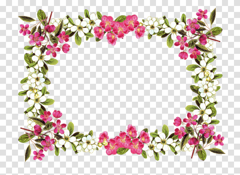 Clip Art Flower Border, Plant, Floral Design, Pattern Transparent Png