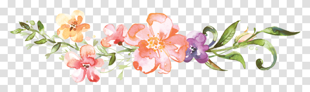 Clip Art Flower Divider Clip Black Flower Divider, Plant, Blossom, Petal, Hibiscus Transparent Png