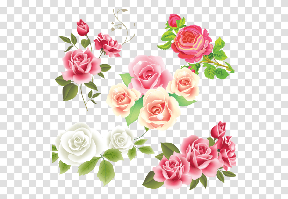 Clip Art Flower Vector Rose Flower Vector, Floral Design, Pattern, Plant Transparent Png