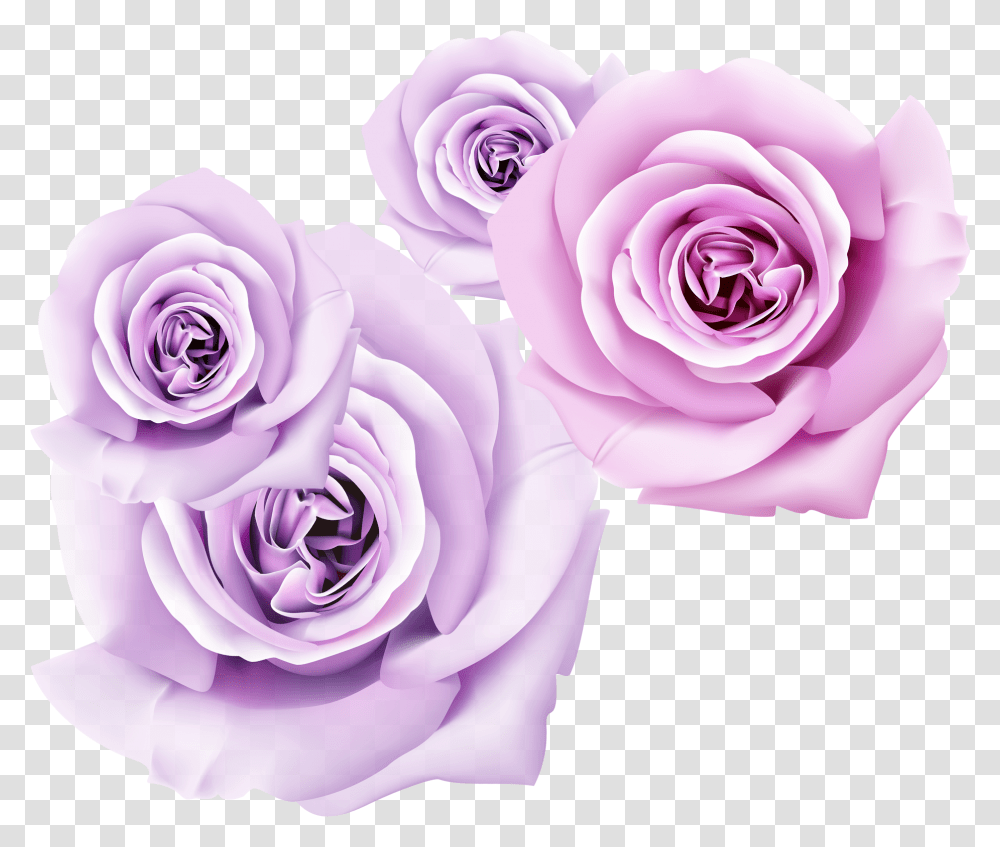 Clip Art Flower Wallpaper Rosa 3d, Rose, Plant, Blossom, Geranium Transparent Png