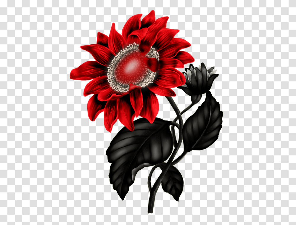Clip Art Flowers And Rock Art, Plant, Blossom, Dahlia Transparent Png