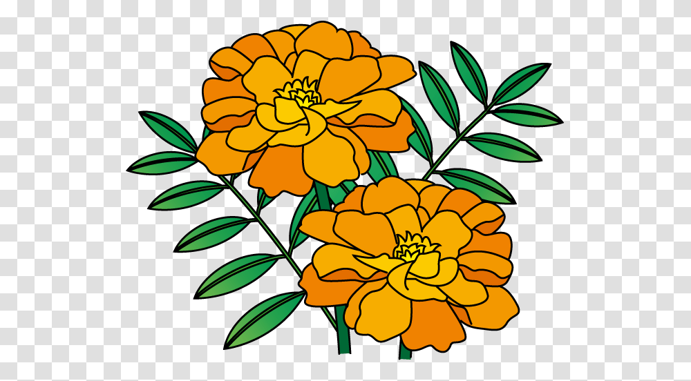 Clip Art Flowers, Floral Design, Pattern, Dahlia Transparent Png