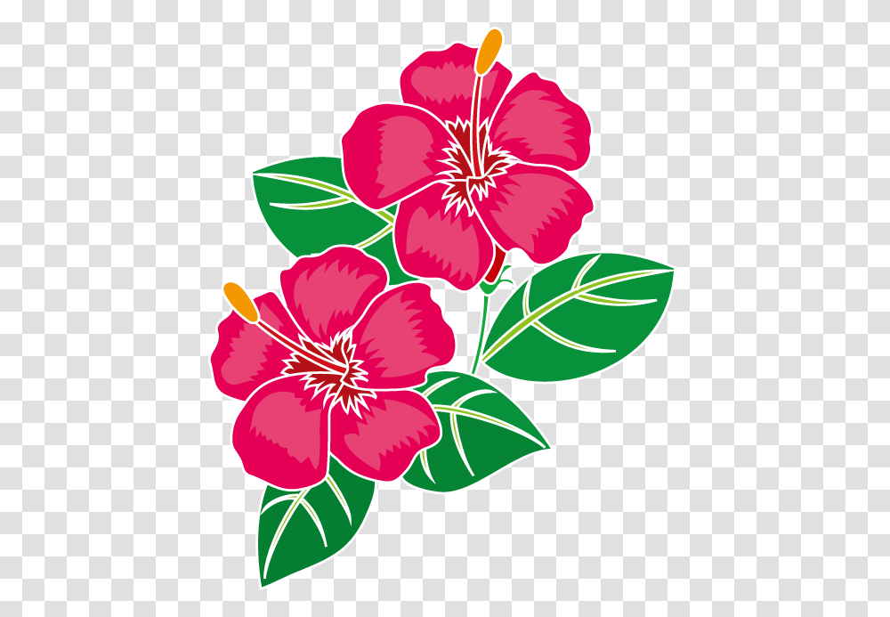 Clip Art Flowers, Plant, Blossom, Hibiscus Transparent Png