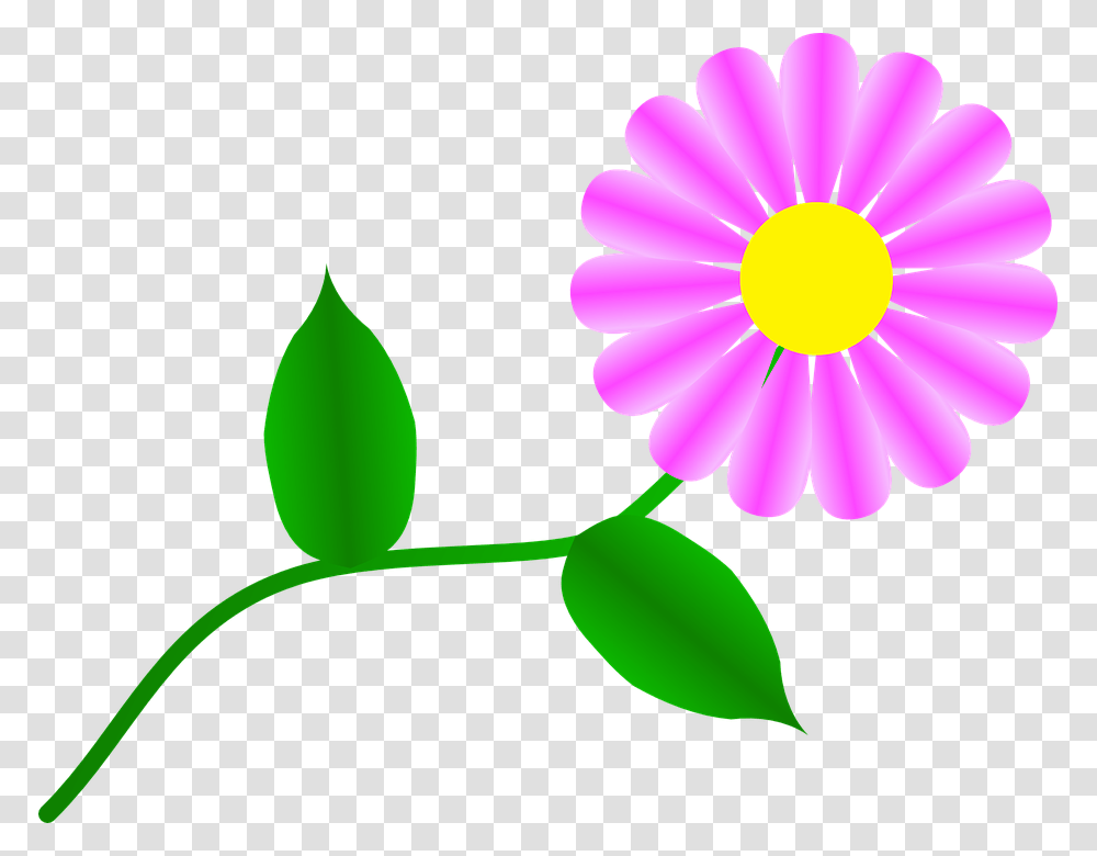 Clip Art Flowers, Plant, Blossom, Petal, Daisy Transparent Png